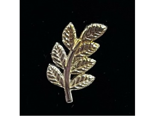 Pin Acacia Argint